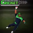 CRICKET FIELDER CHALLENGE GAME - Unblocked Games G+